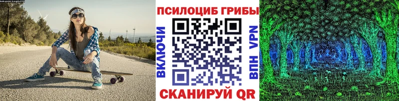 Купить  Чадан  Галлюциногенные грибы прущие грибы 
