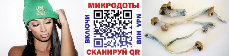 Псилоцибиновые грибы прущие грибы Чадан